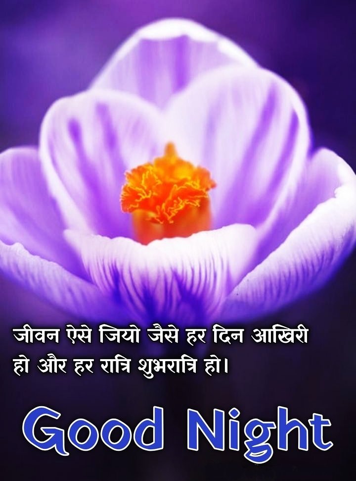 Flower Good Night Images In Hindi