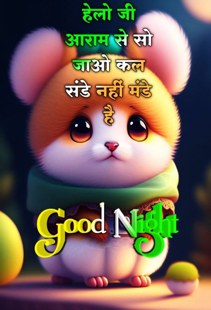 Good Night Photo Hindi