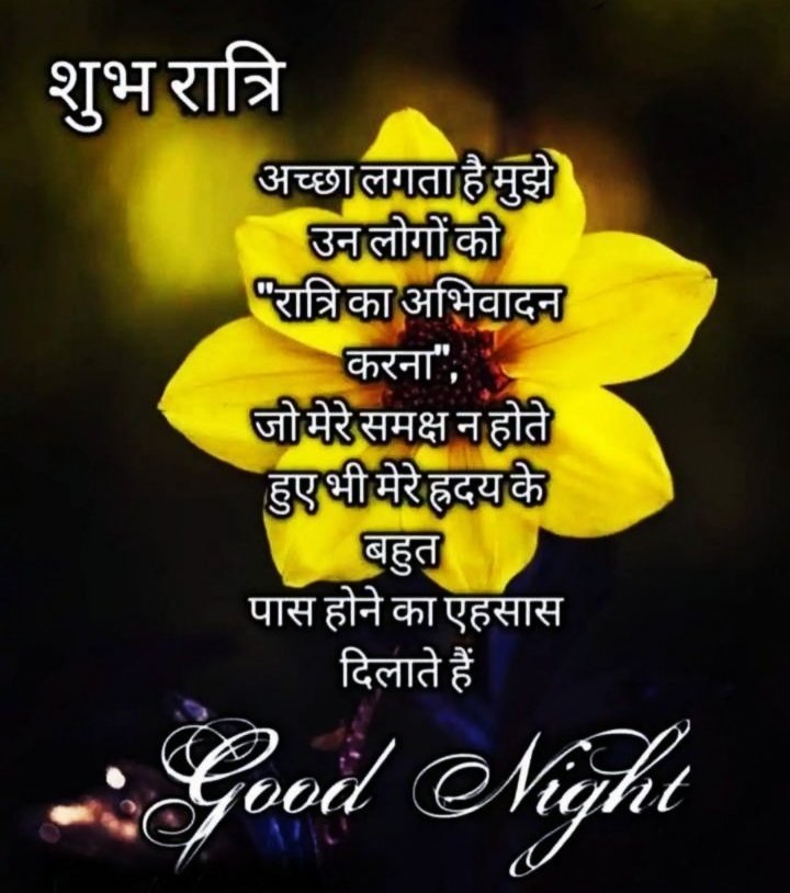 New Good Night Images In Hindi