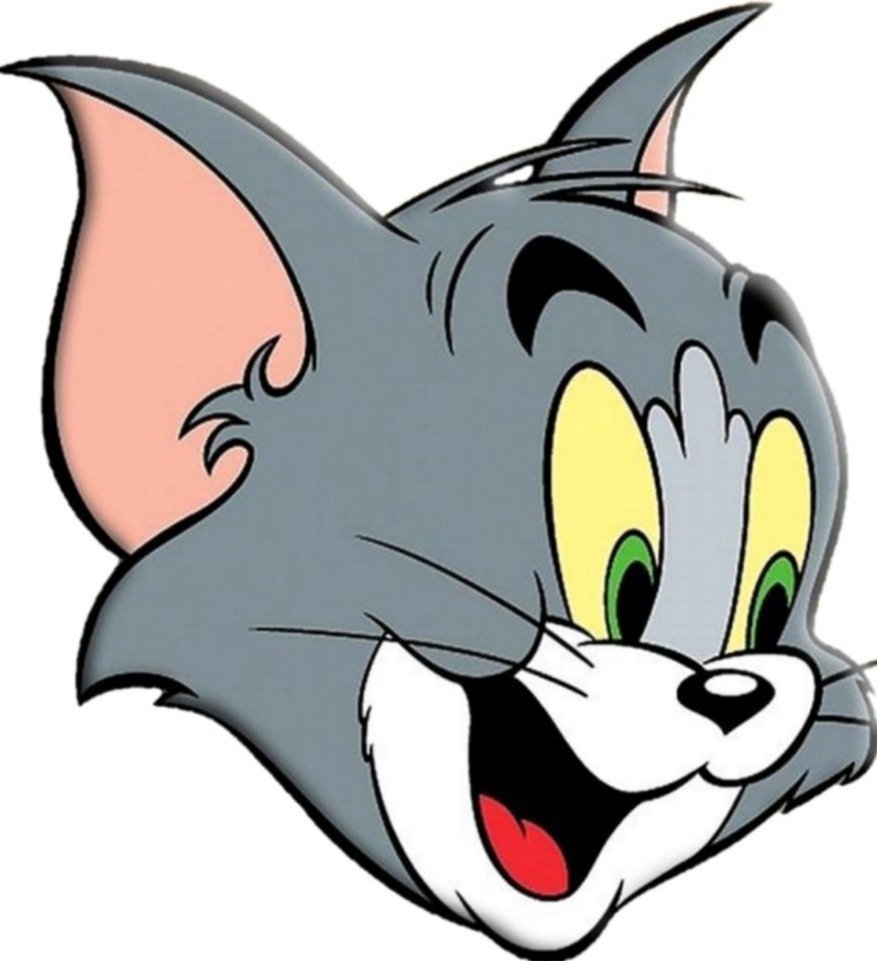 Cute Tom And Jerry Images