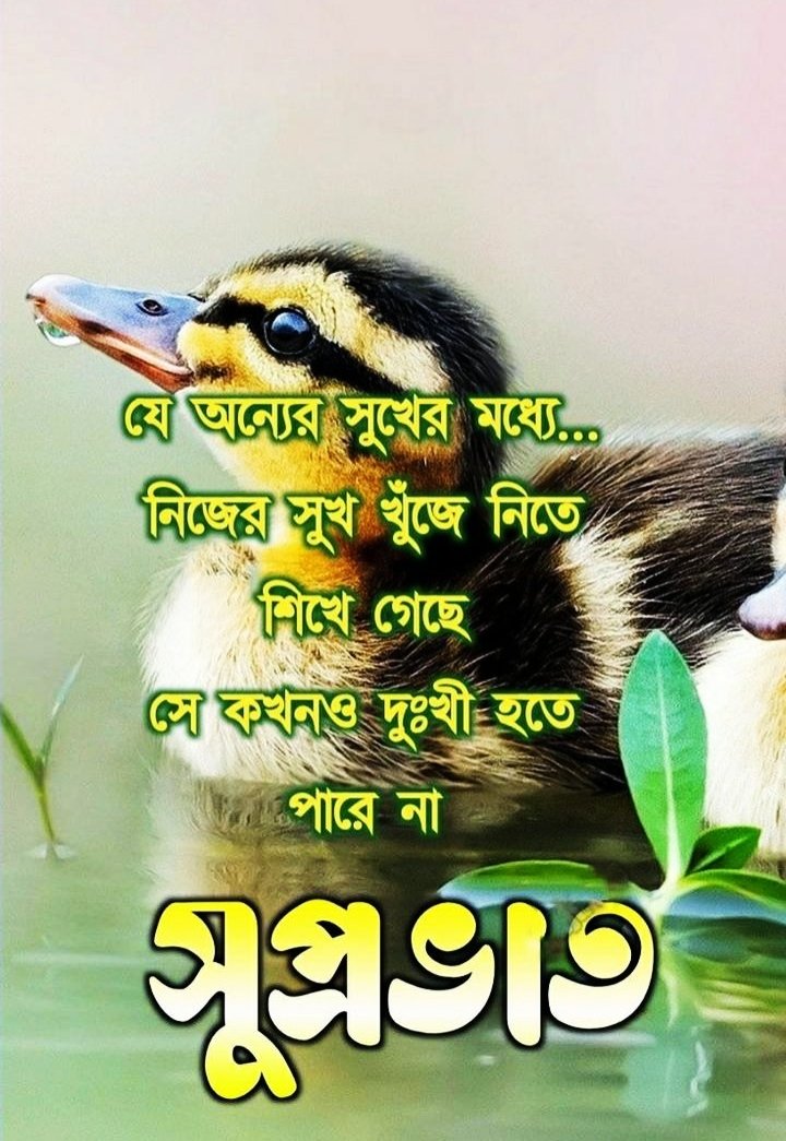 Good Morning Image In Bengali Shayari