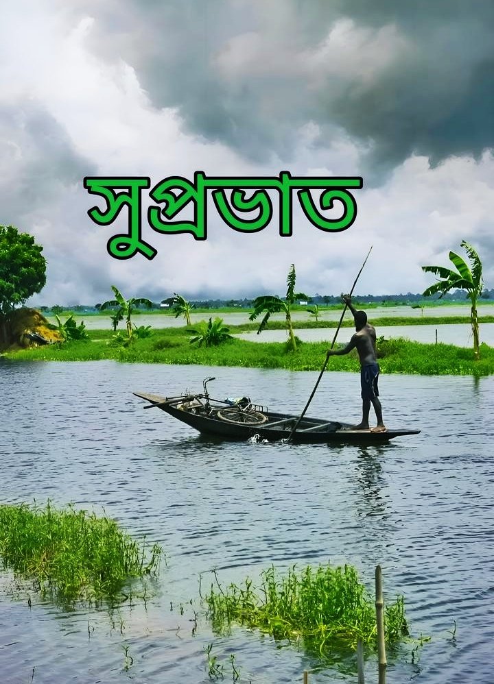 Good Morning Images In Bengali For Whatsapp