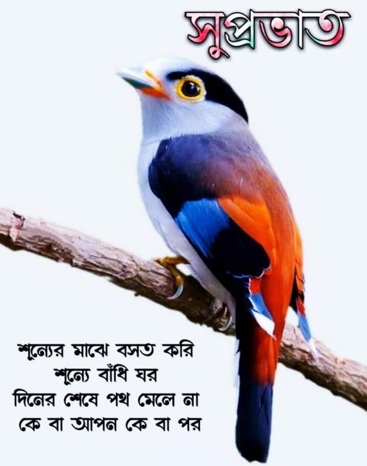 Good Morning Images In Bengali With Positive Words