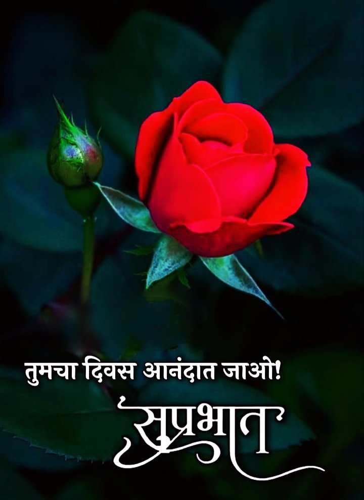 Good Morning Images Marathi Love