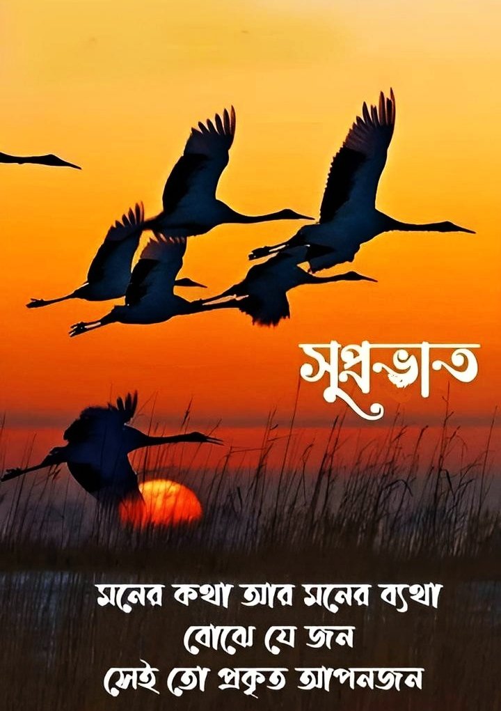 Powerful Motivational Good Morning Images In Bengali